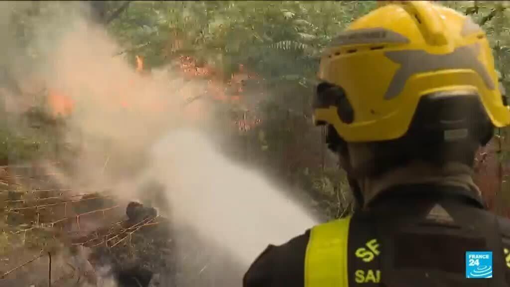 Firefighters battle 'contained' Fontainebleau forest fire near Paris amid arson probe