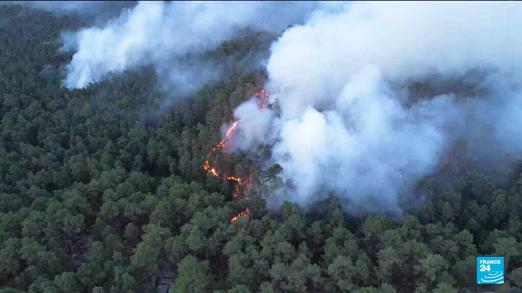 France: 2,000 hectares lost in forest fires