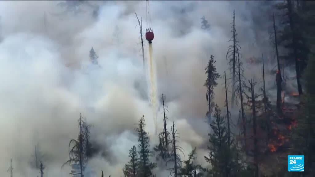 Donald Trump blames Canada for smoke pollution