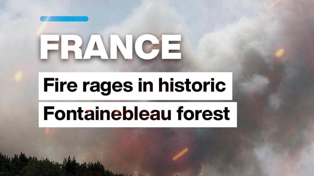 Fire in Fontainebleau: Iconic forest south of Paris engulfed in flames