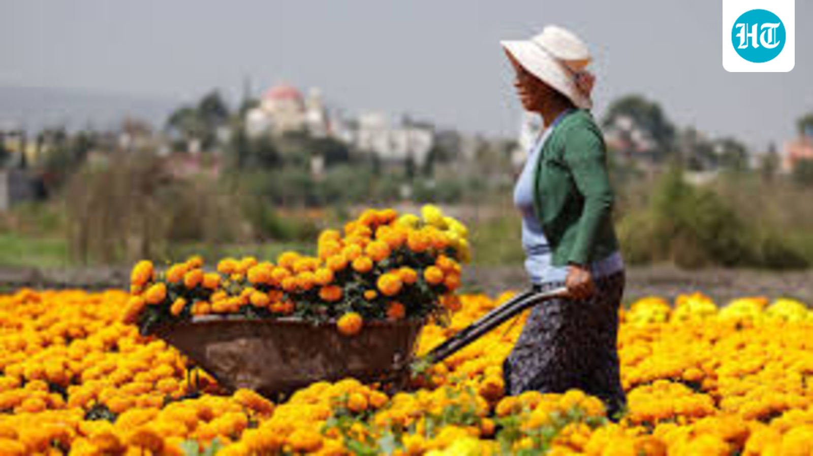 Europe and South America seal a trade pact for the Trump era