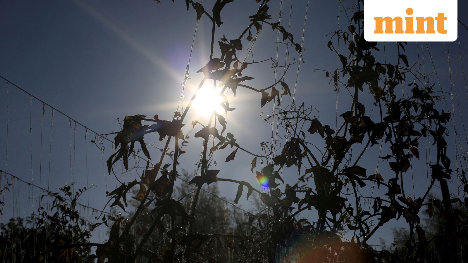 2026 could see a super El Nino and record-breaking global temperatures