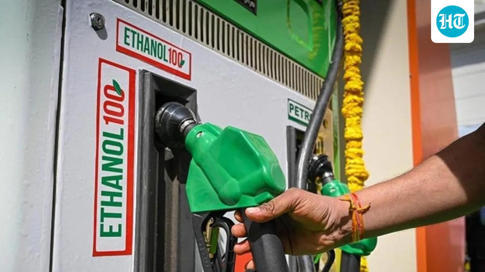 No major performance issues in vehicles using E20 petrol, Centre tells Parliament