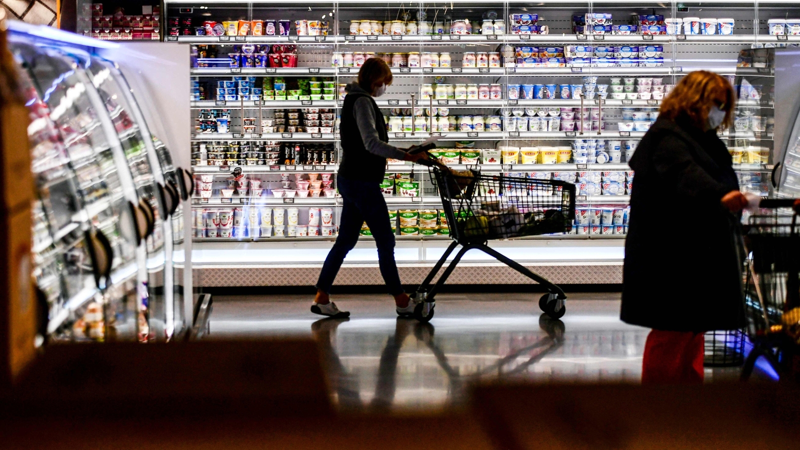 42 million Americans at risk as Food Stamp Program faces funding crisis amid government shutdown, What is SNAP?