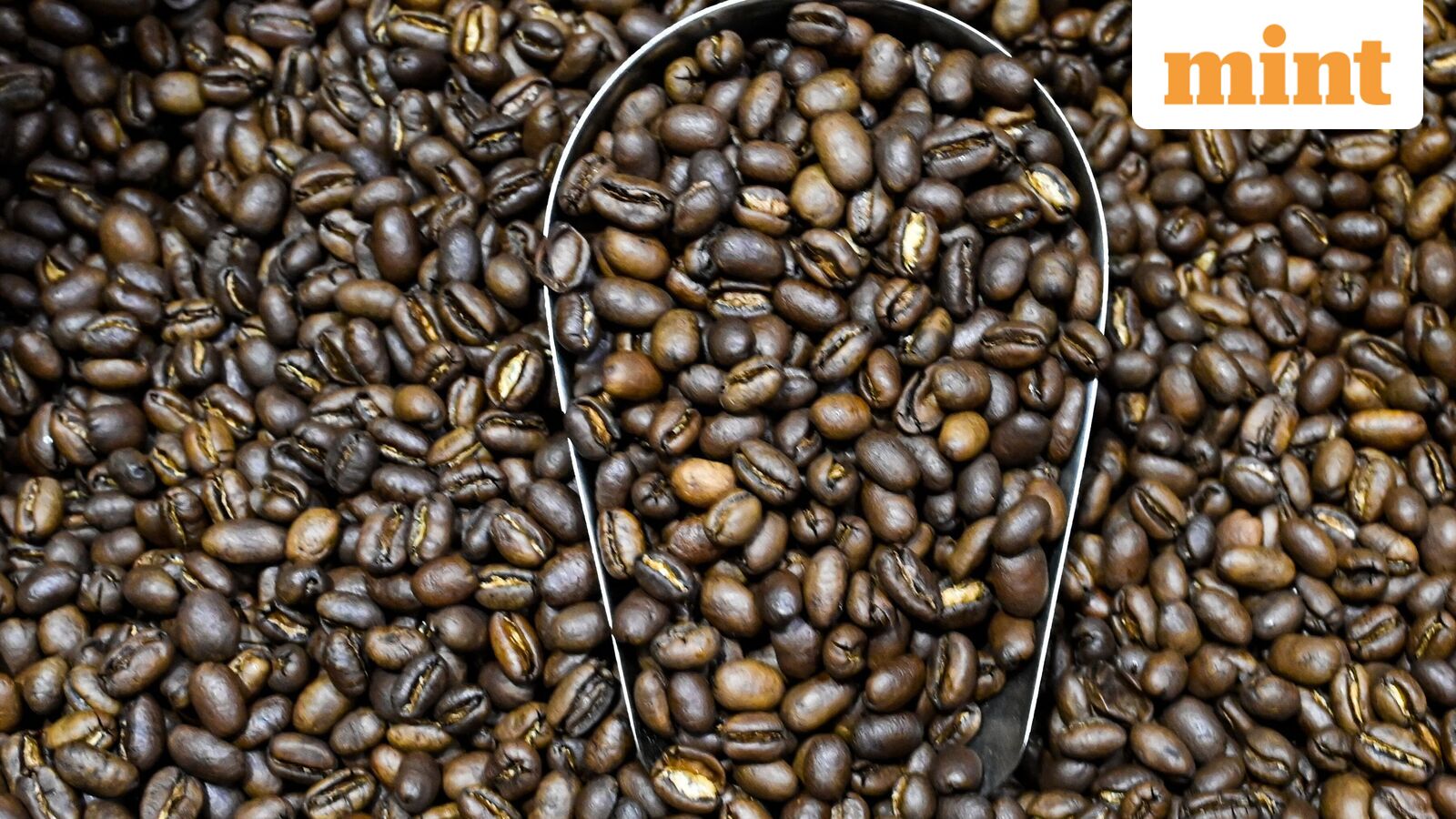 Love your morning coffee? Be careful if you are taking it with these medications