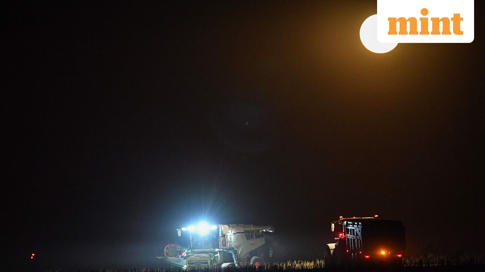 Harvest Moon 2025: Will it be visible in India? Check date, time of celestial event