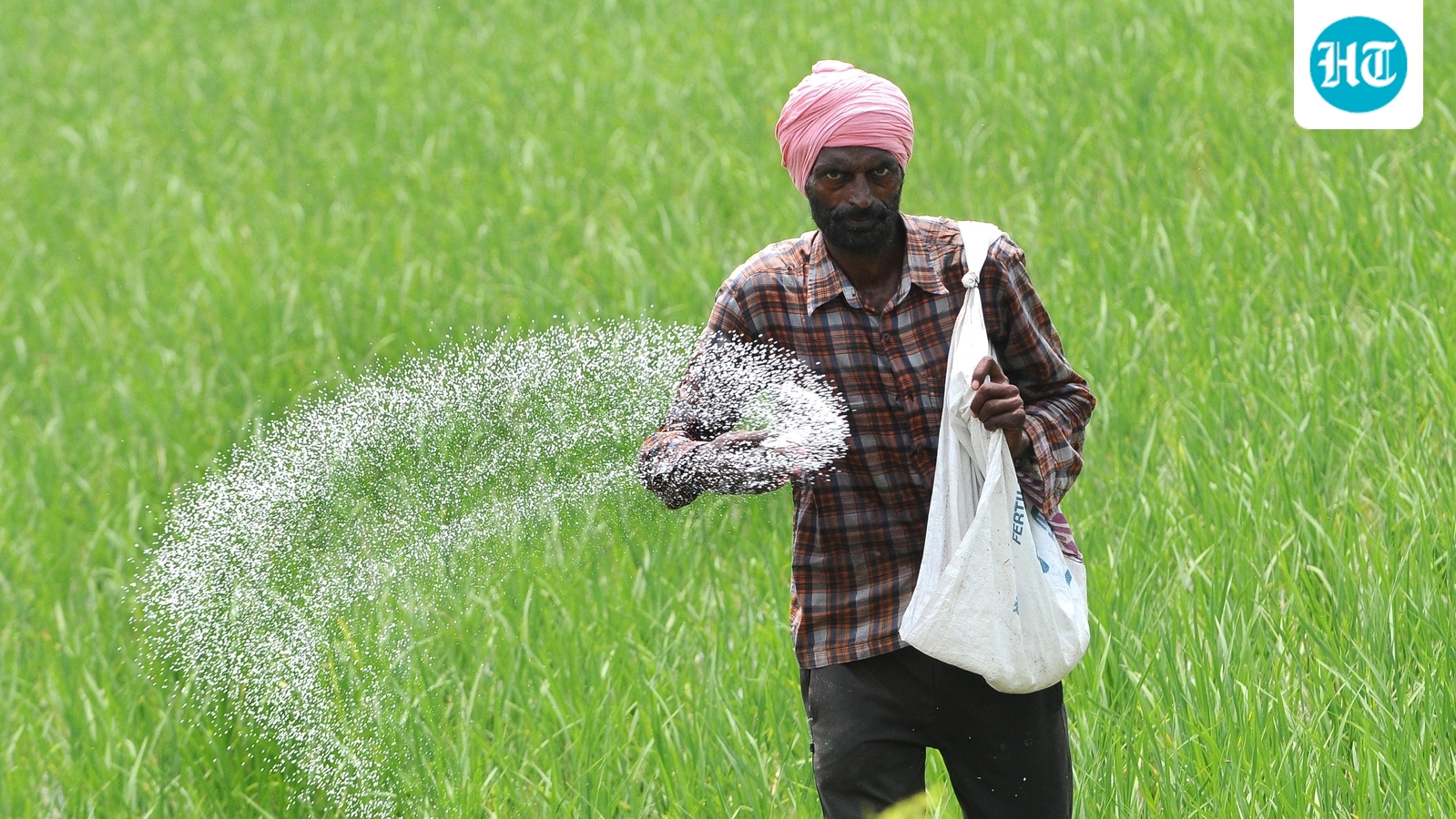 Cabinet clears urea investment policy to boost local production