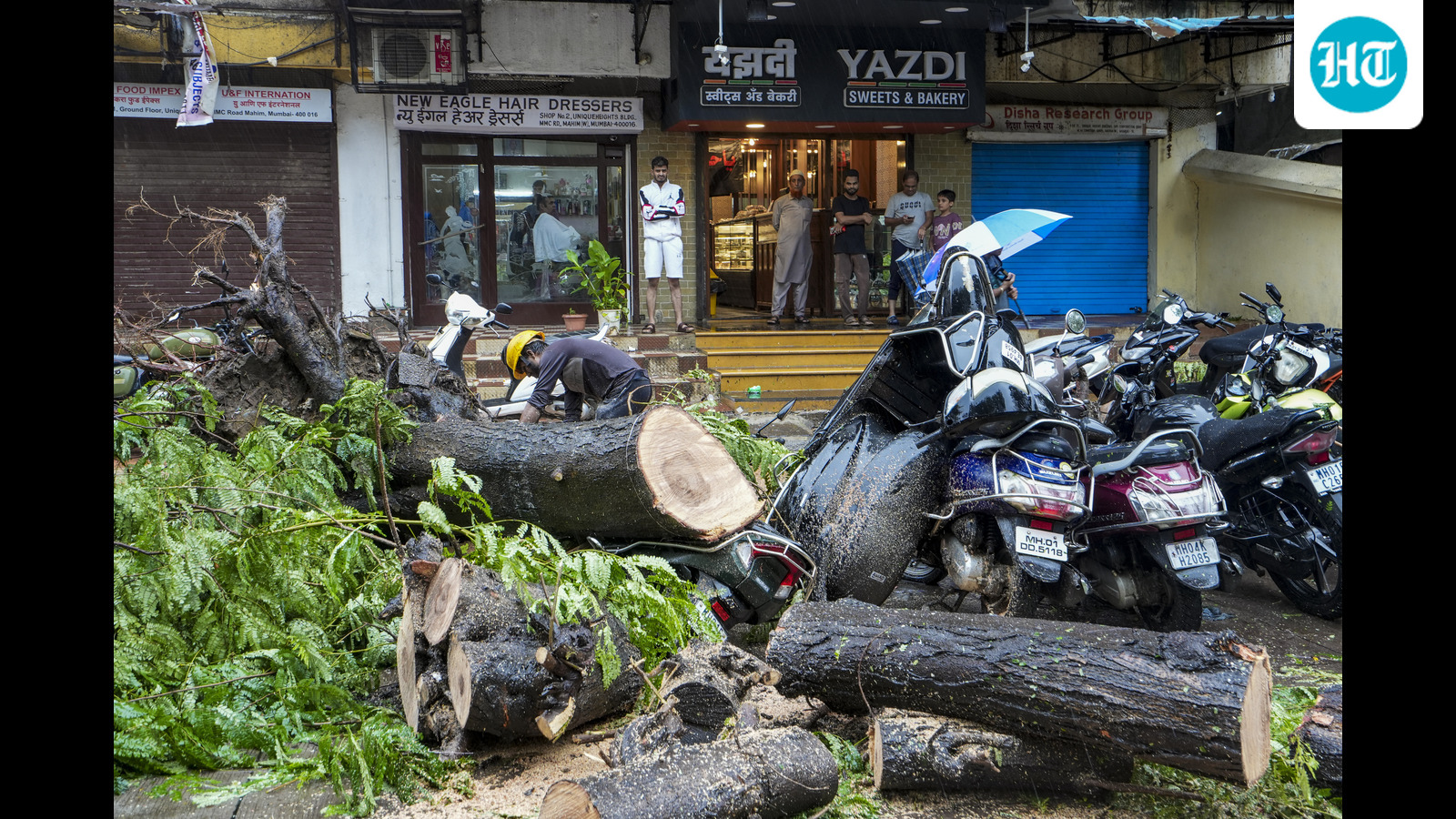 63-year-old man dies after rain-uprooted tree falls in Mumbai’s Kurla