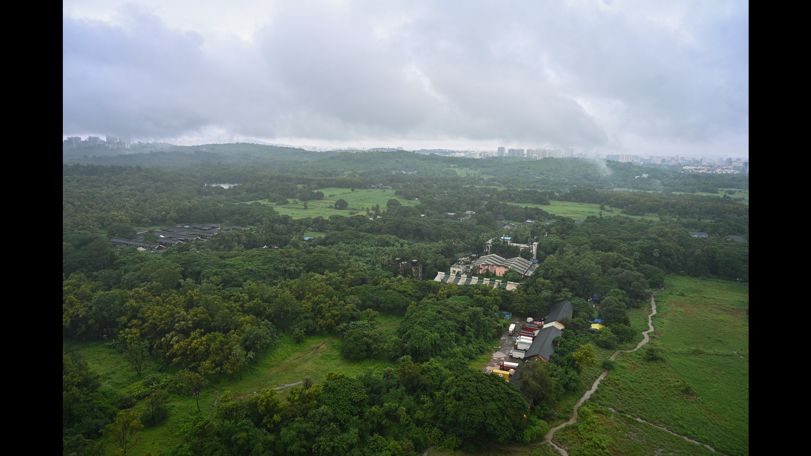 India moves up to 9th position globally in forest area, says Yadav