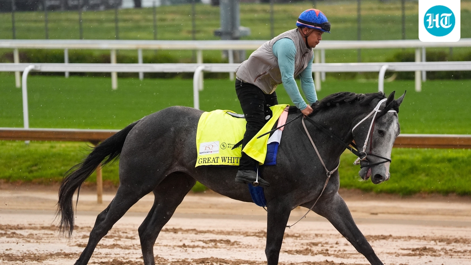 Kentucky Derby 2026: Why Great White was skratched at Churchill Downs today. Scary video emerges