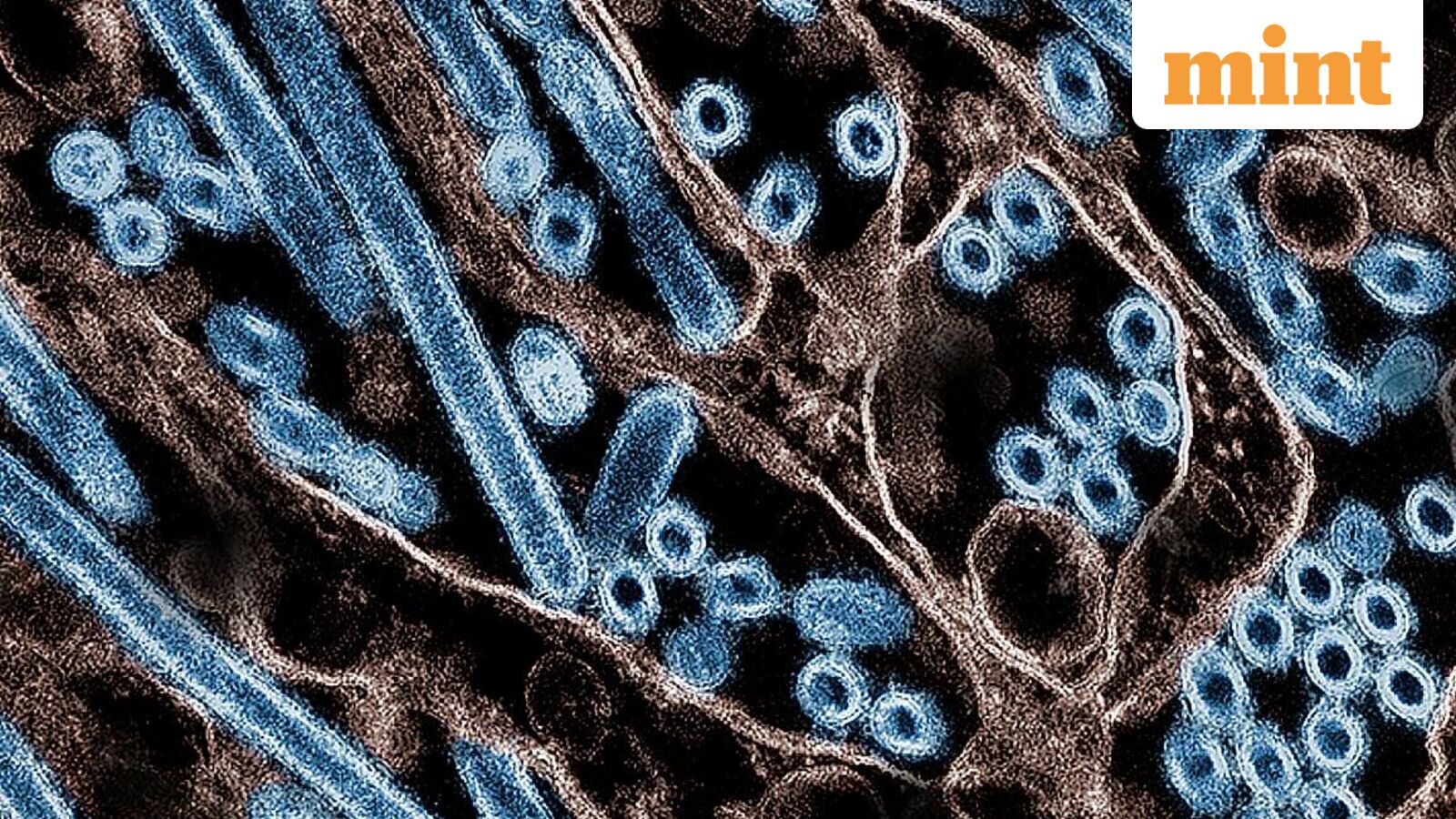 Mint Explainer | India’s twin burden of influenza and air pollution: Why India’s public health system is under strain