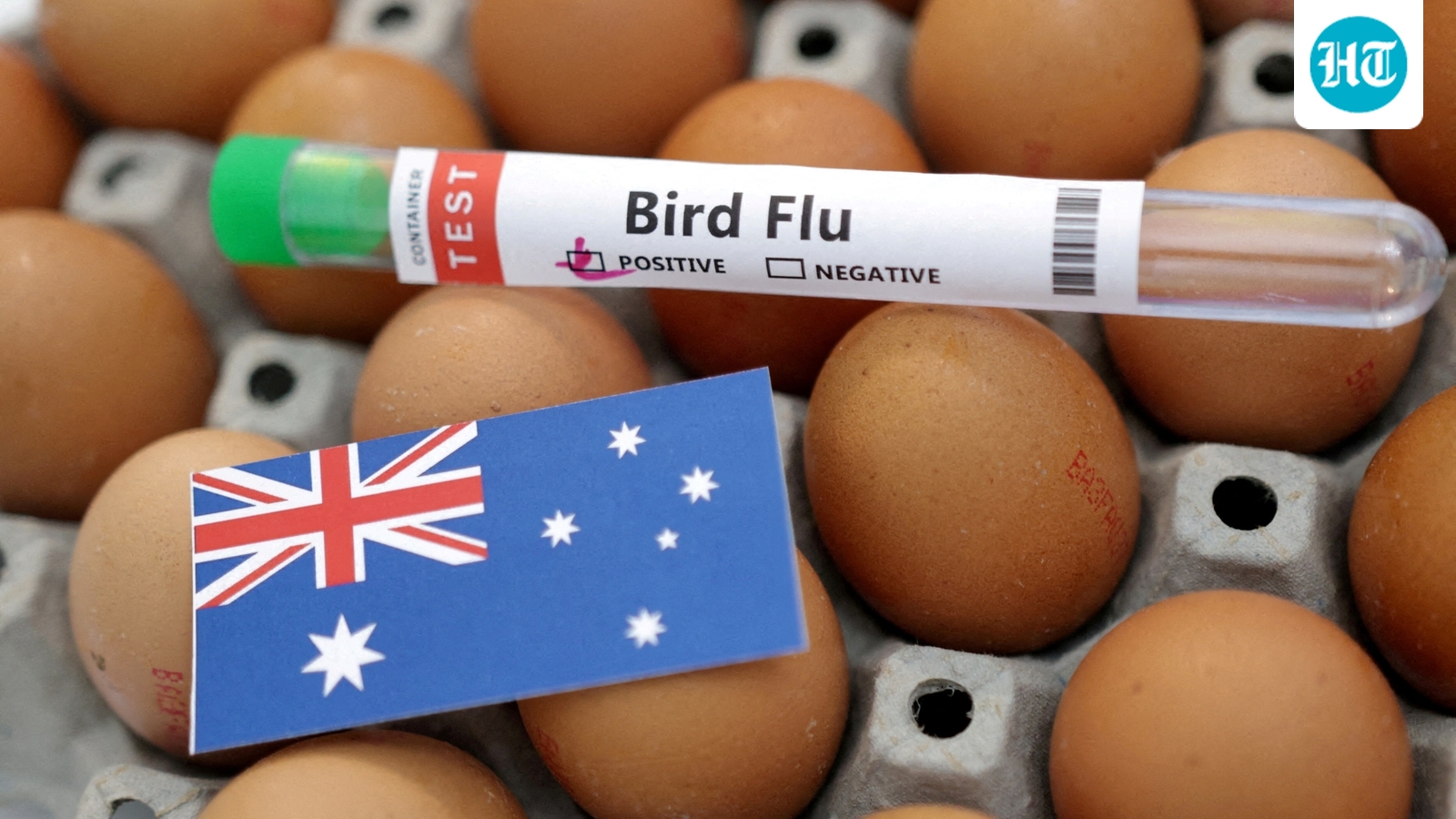 New South Wales becomes third state in Australia to confirm H5N1 bird flu case