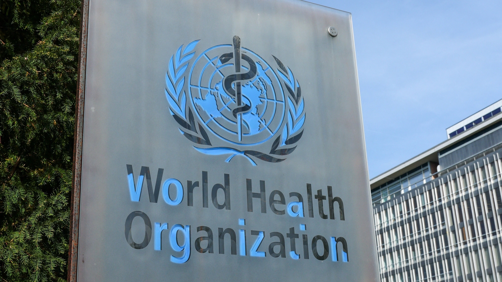 'We know this virus': WHO on comparisons of hantavirus outbreak to COVID-19 pandemic