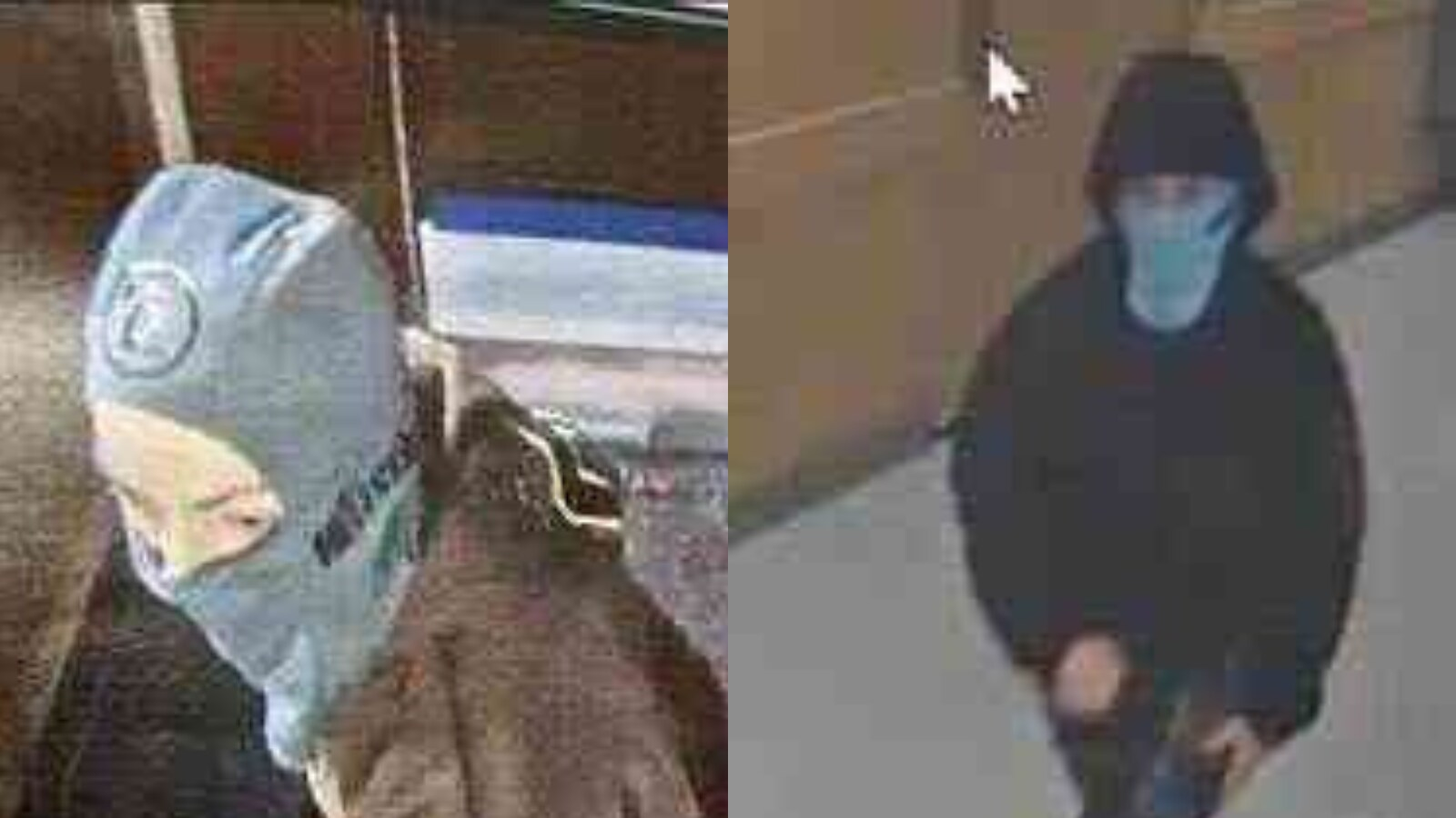 Who are Logan Patterson and Dominick Cardoza? 2 suspects arrested in Harvard Medical School explosion