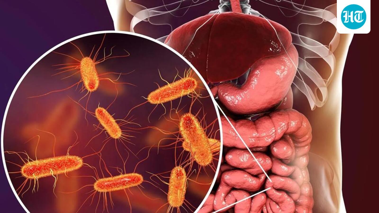 Scientifically Speaking: The Plastic Pharmacy