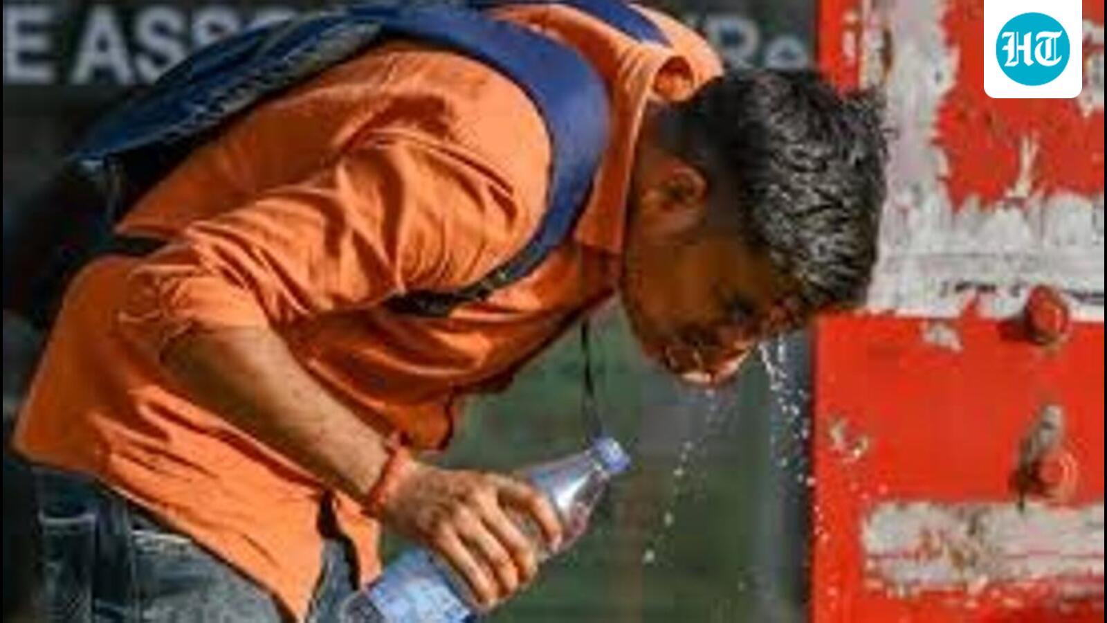 Harsh summer with more heatwaves ahead, says IMD