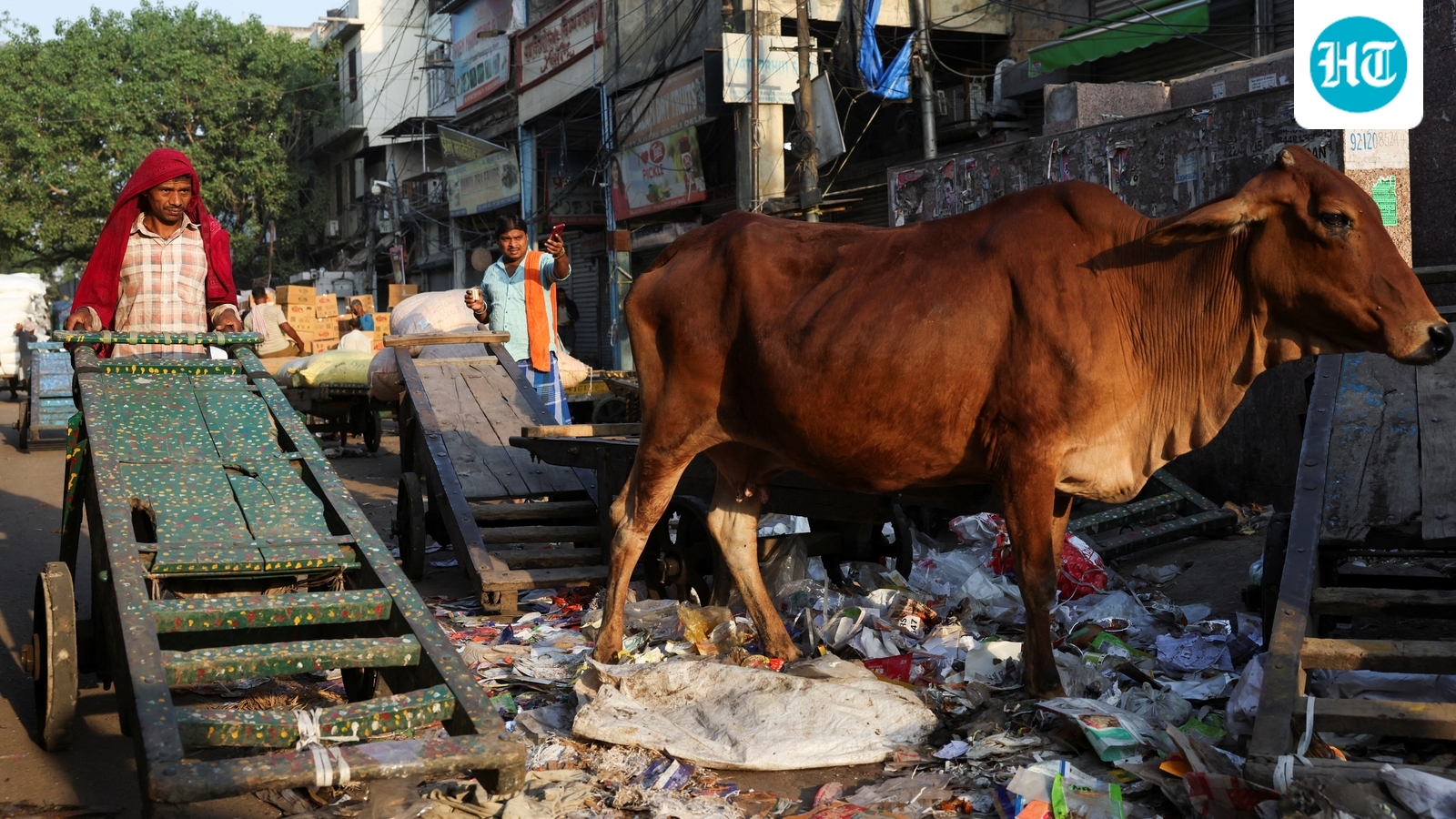 Amid demand to make cow national animal, a look at what Muslim members told Constituent Assembly in 1948