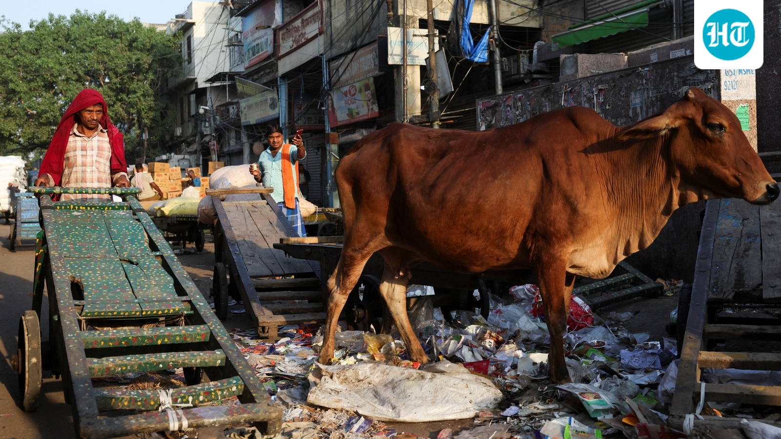 Why some Muslim organisations want the cow to be declared India's national animal ahead of Eid
