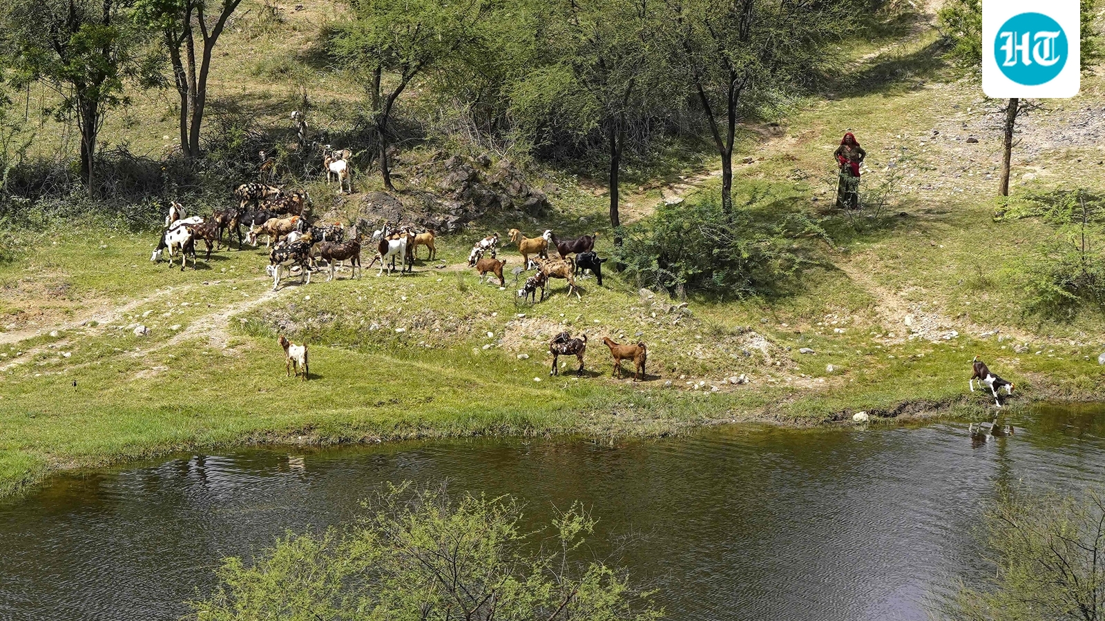 Supreme Court forms 5-member panel to propose definition of Aravalli range