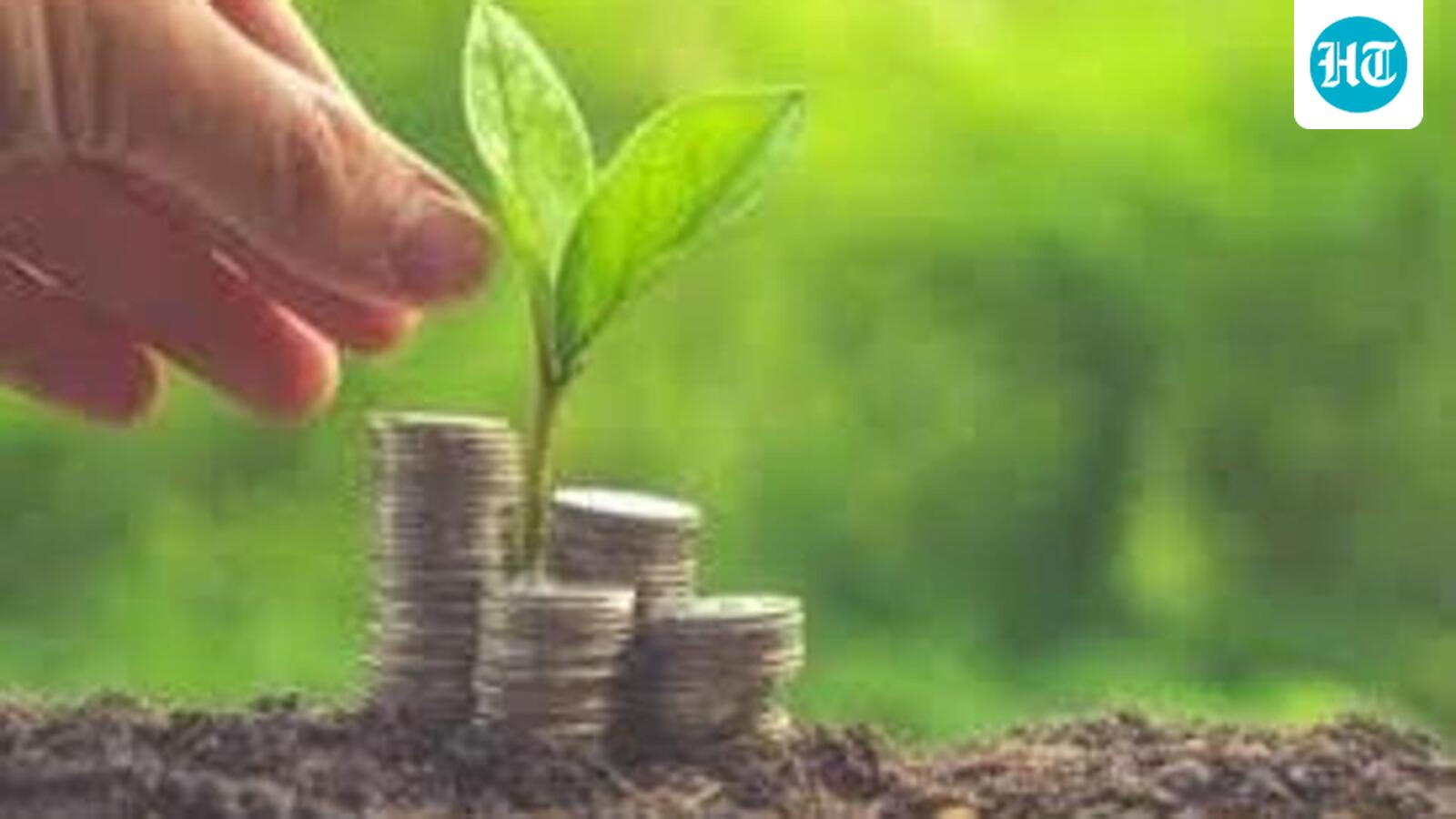Far from meeting developing nations’ needs: Climate activists on OECD report