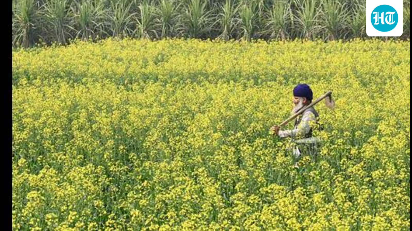 Why El Niño leaves pain in its wake