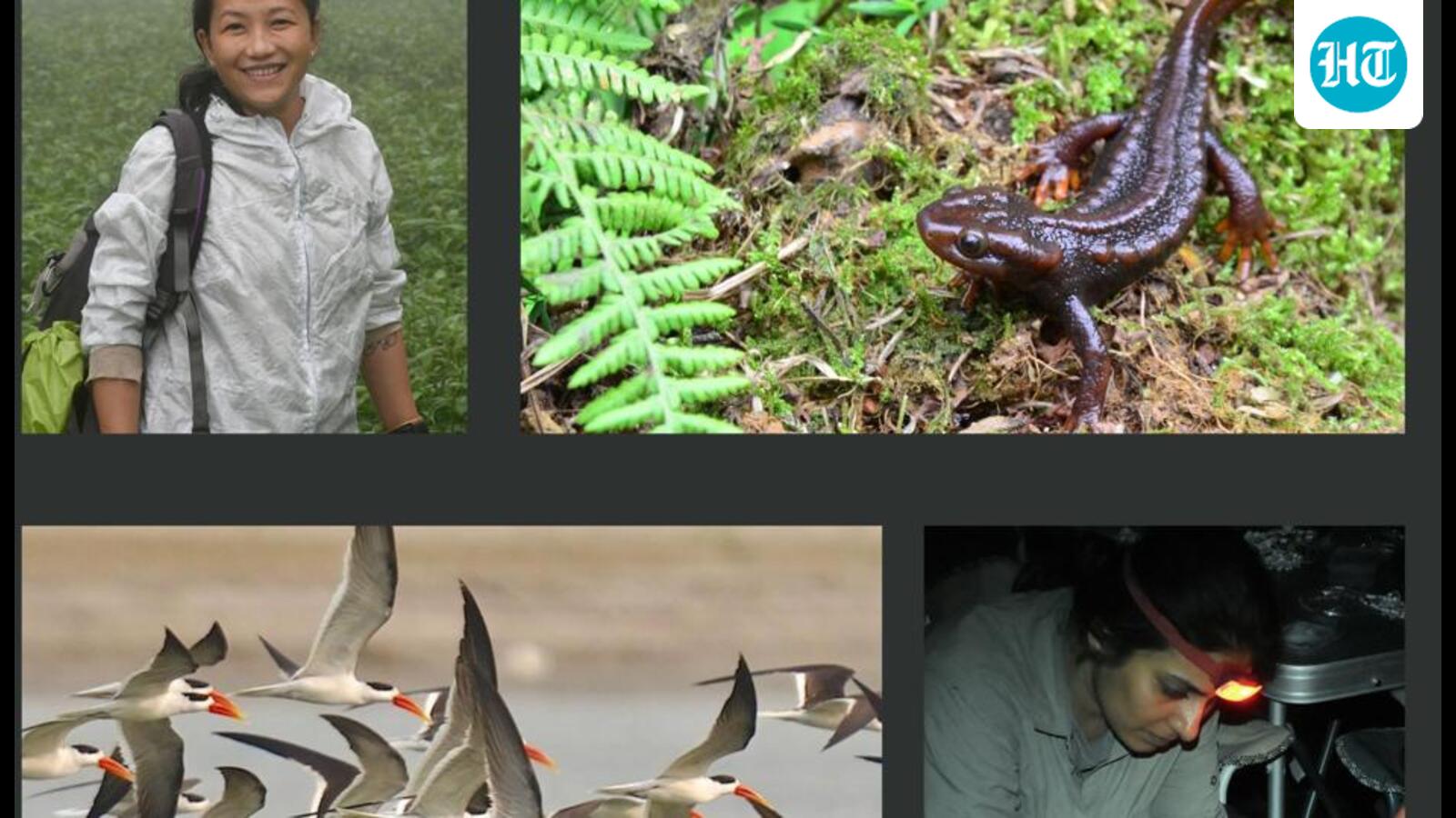 Indian conservationists win Whitley Awards for work on threatened wetland species