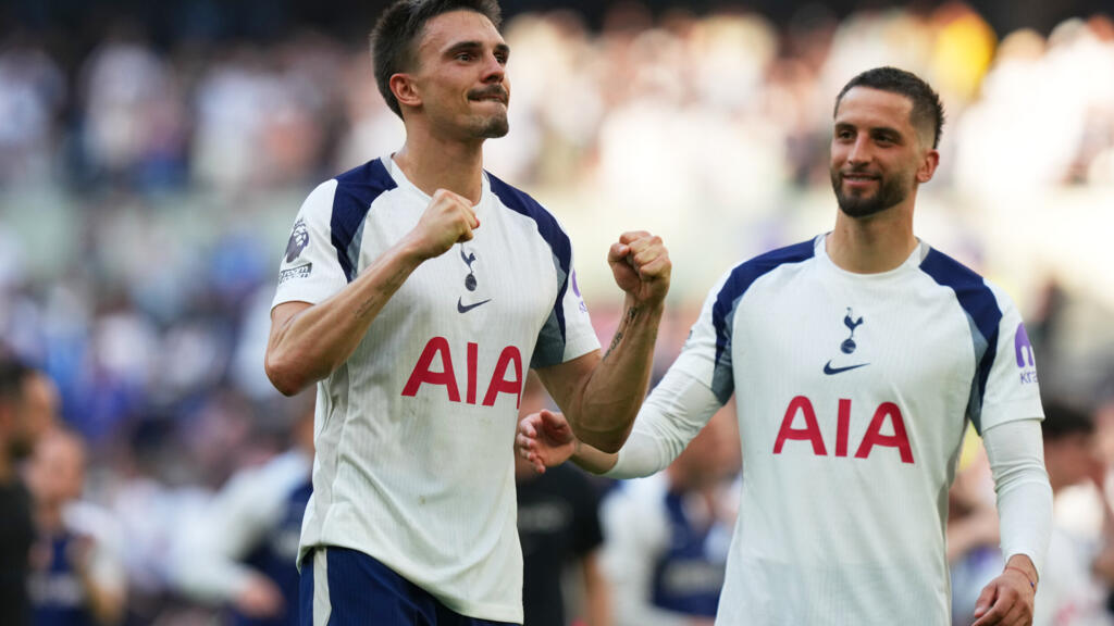 Premier League: Tottenham beat Everton to stay in top flight