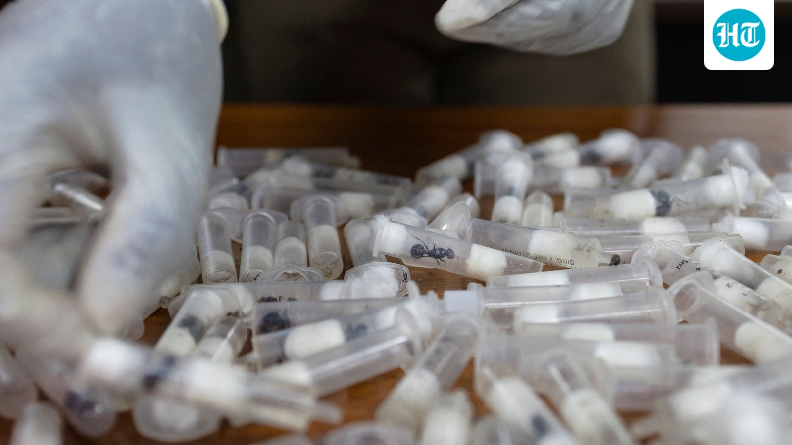 Syringe reuse, over 300 children test HIV-positive at Pakistan hospital: Undercover filming exposes big lapses