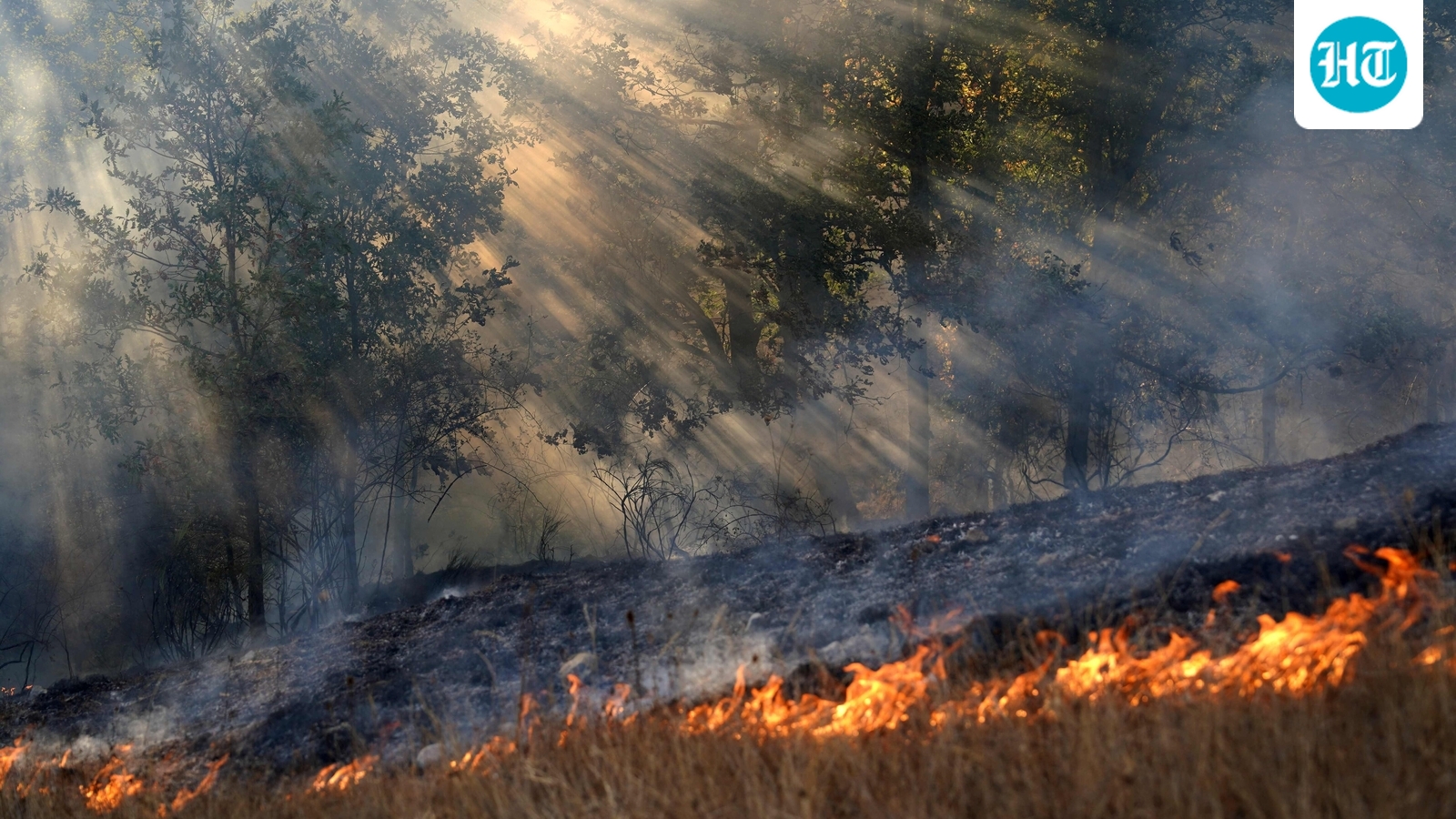 Kansas wildfire map: Emergency in Hutchinson, Reno County amid massive grass fire; videos surface