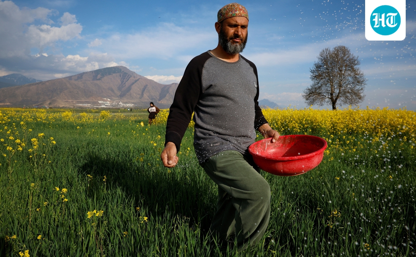 Millions will go hungry if the Strait of Hormuz stays closed