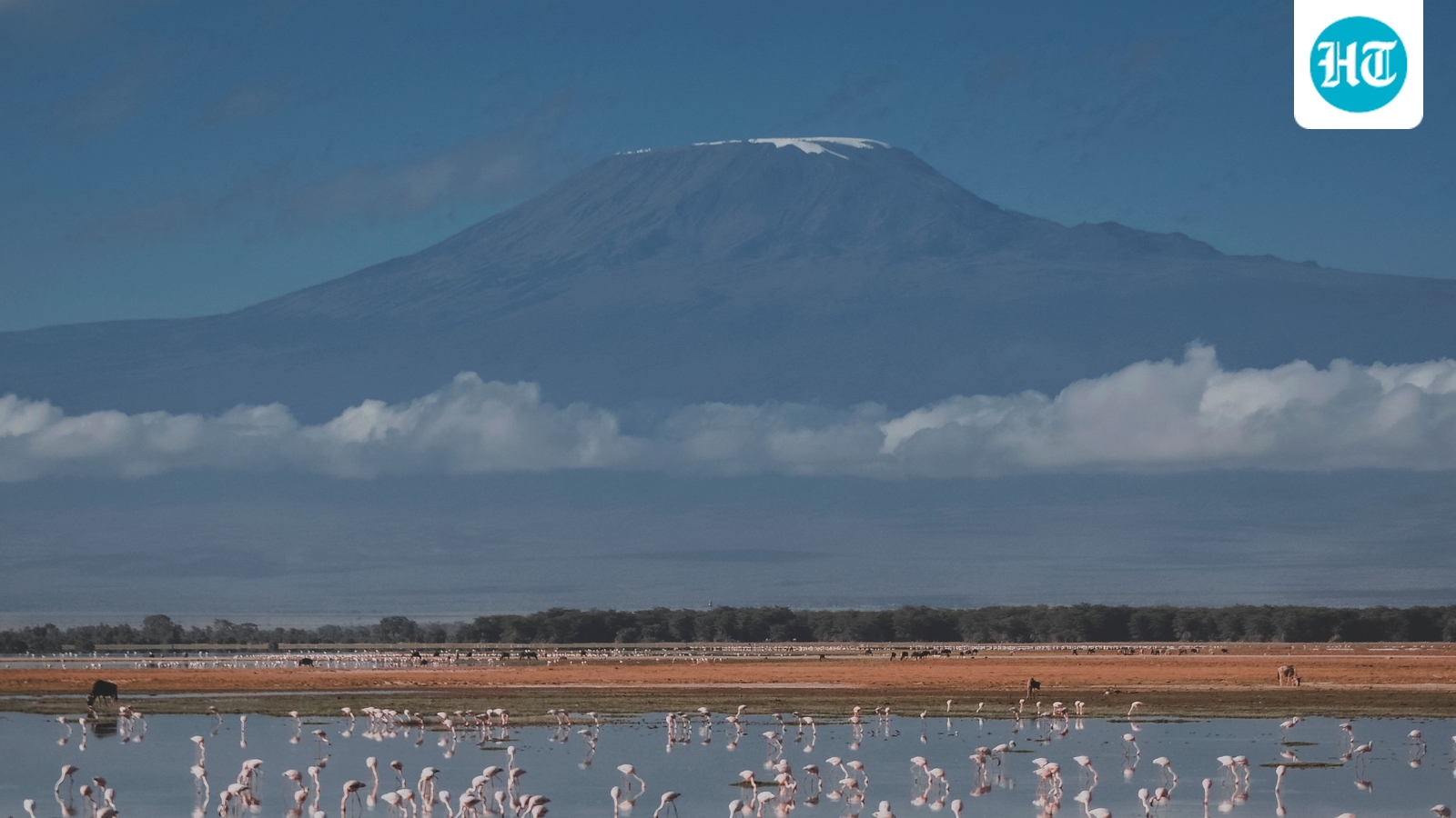 Helicopter on rescue mission crashes on Tanzania's Mount Kilimanjaro, 5 dead
