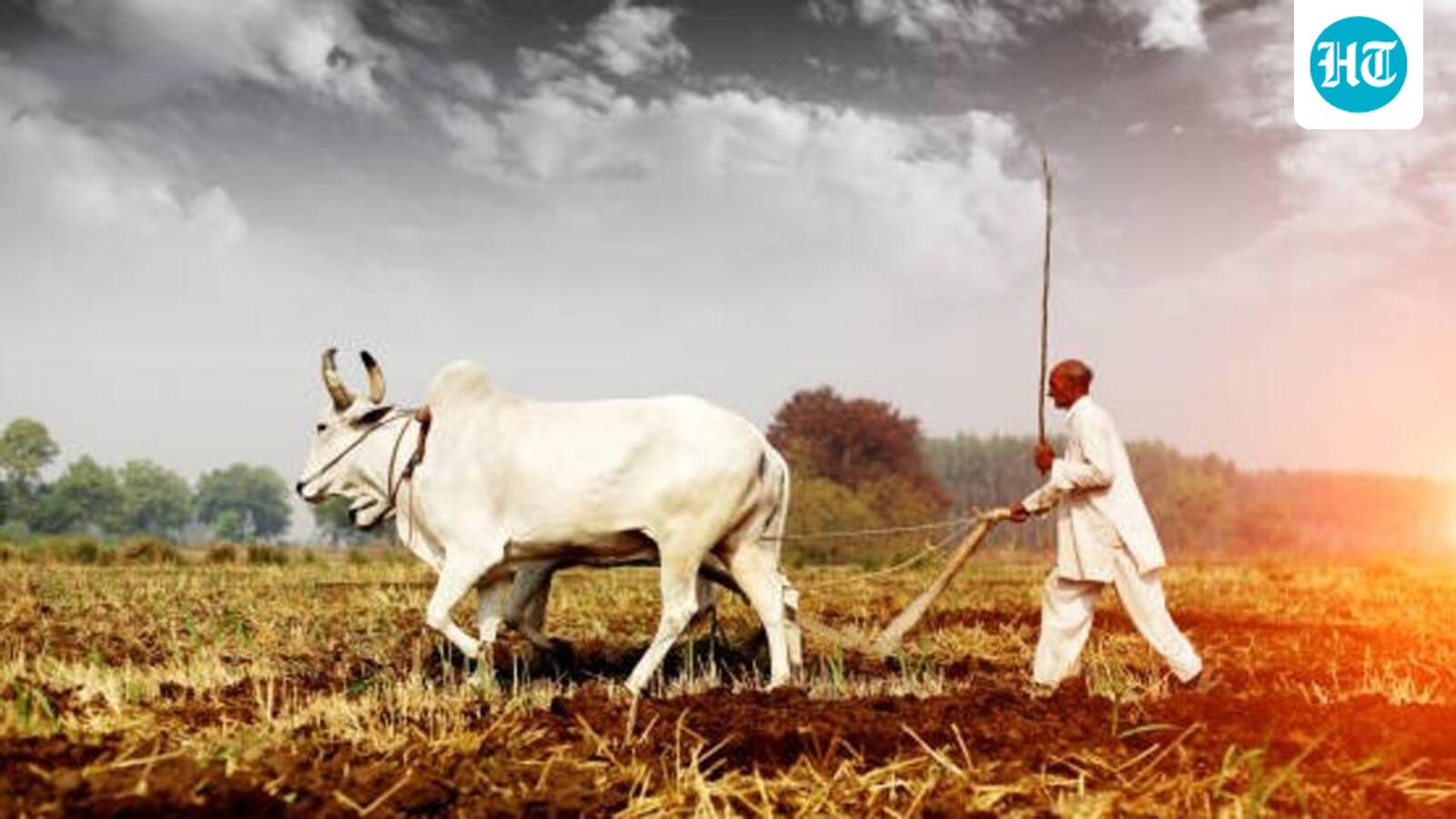 India restored 21.76 mn hectares of land between 2011-2020: Bhupender Yadav
