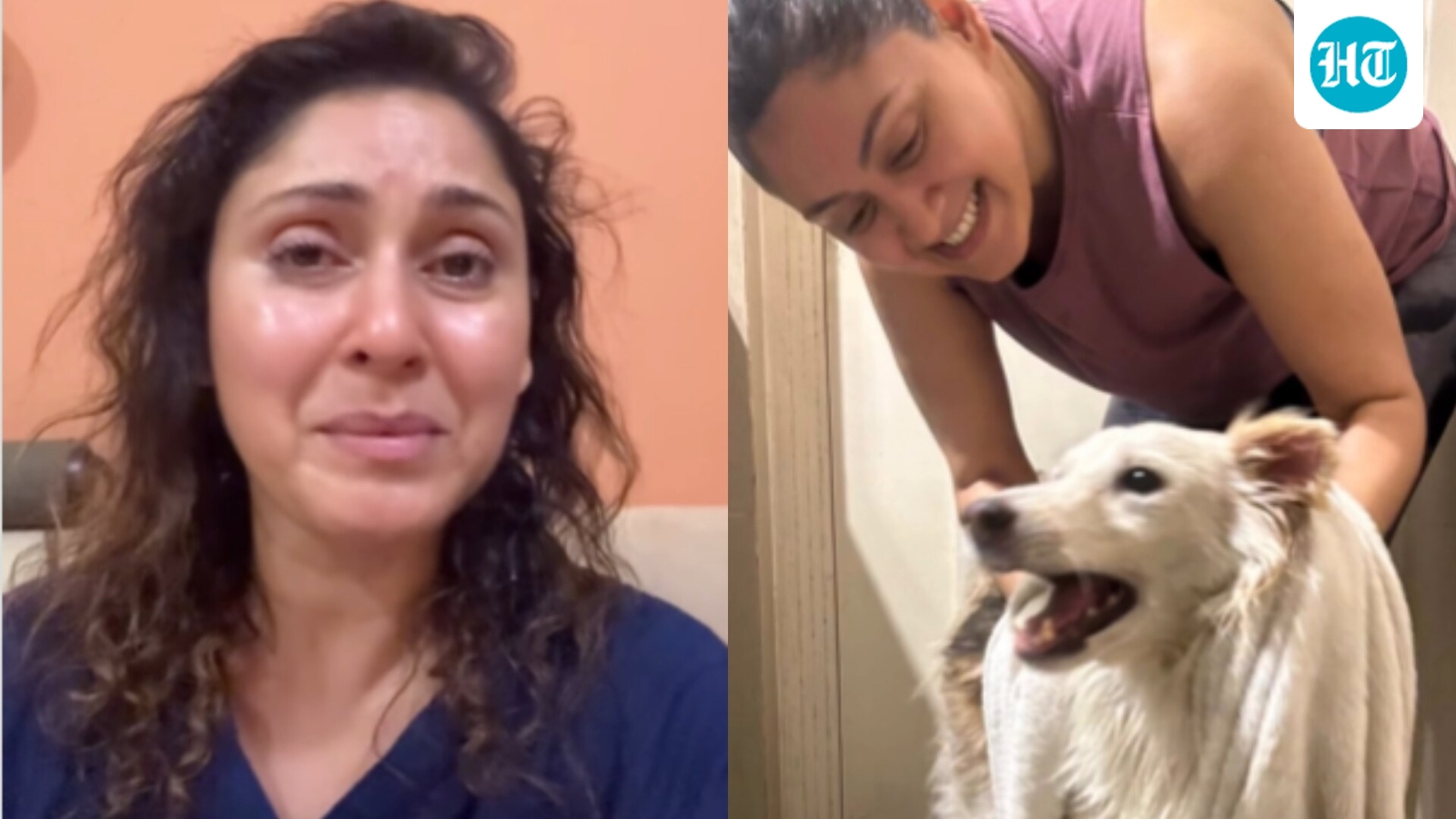 Manjari Fadnnis pens emotional note, to fight for justice after society dog Mikey's killing: ‘We will not rest’