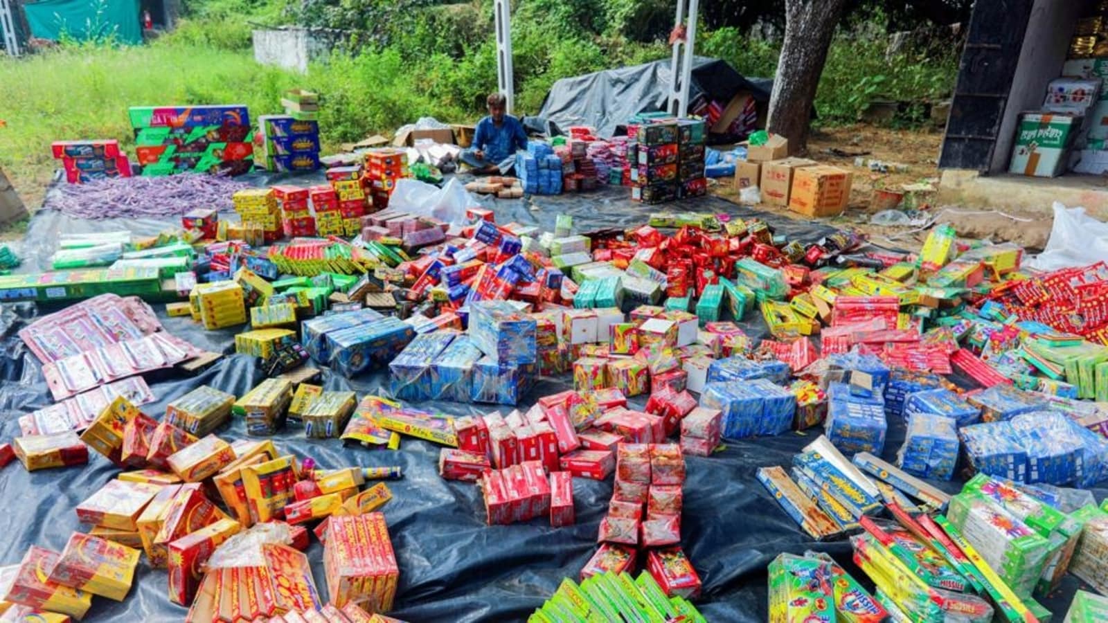 Supreme Court calls for pan-India firecracker ban: Not just Delhi where 'elites' are
