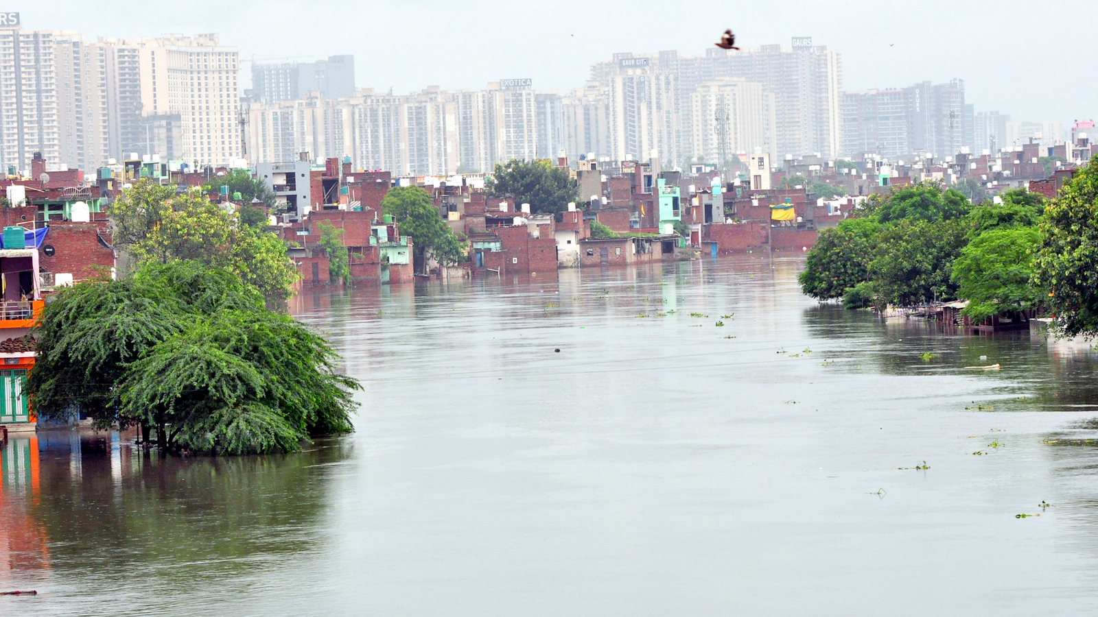 Cop dies while trying to save woman from committing suicide in Hindon Canal