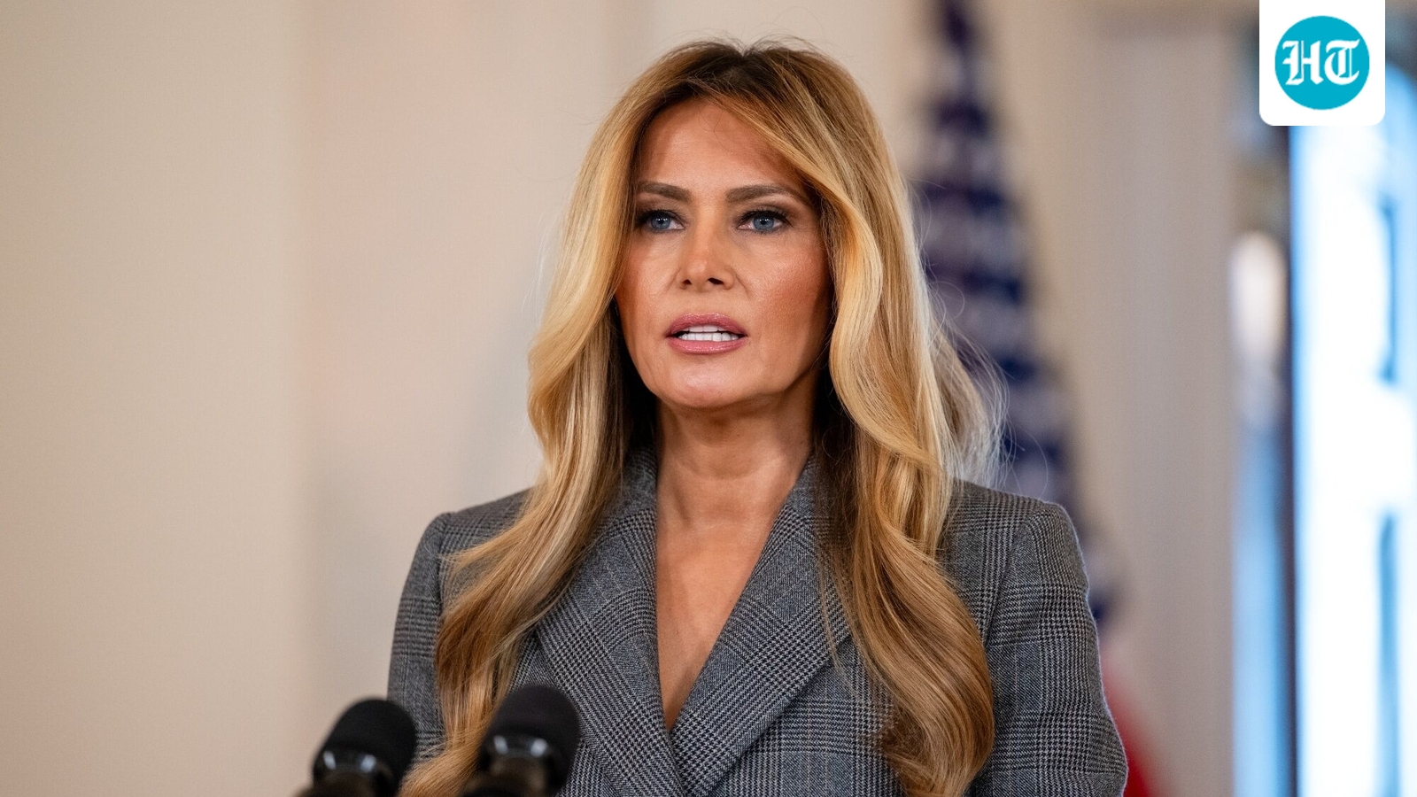 Melania Trump-Epstein row: Why FLOTUS was forced to speak up. Michael Wolff said she is ‘not worried’