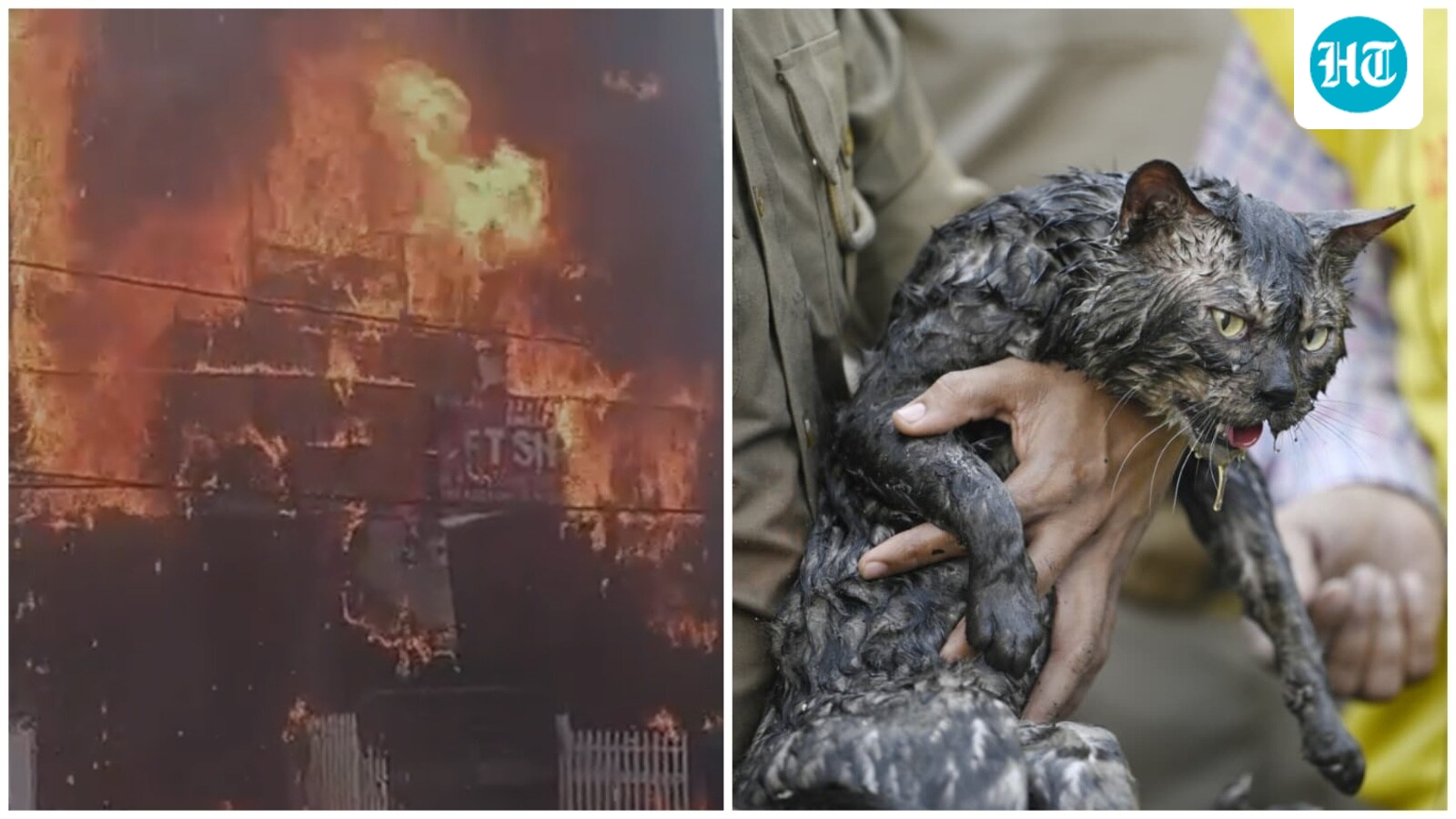 Major fire at Lucknow coaching centre, several feared trapped as students jump to escape; firefighters rescue cat