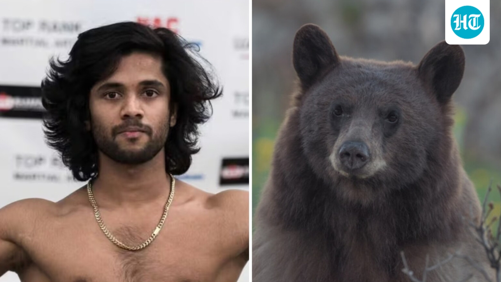 Kerala MMA fighter killed in bear attack in Canada, family says ‘UFC was his dream’