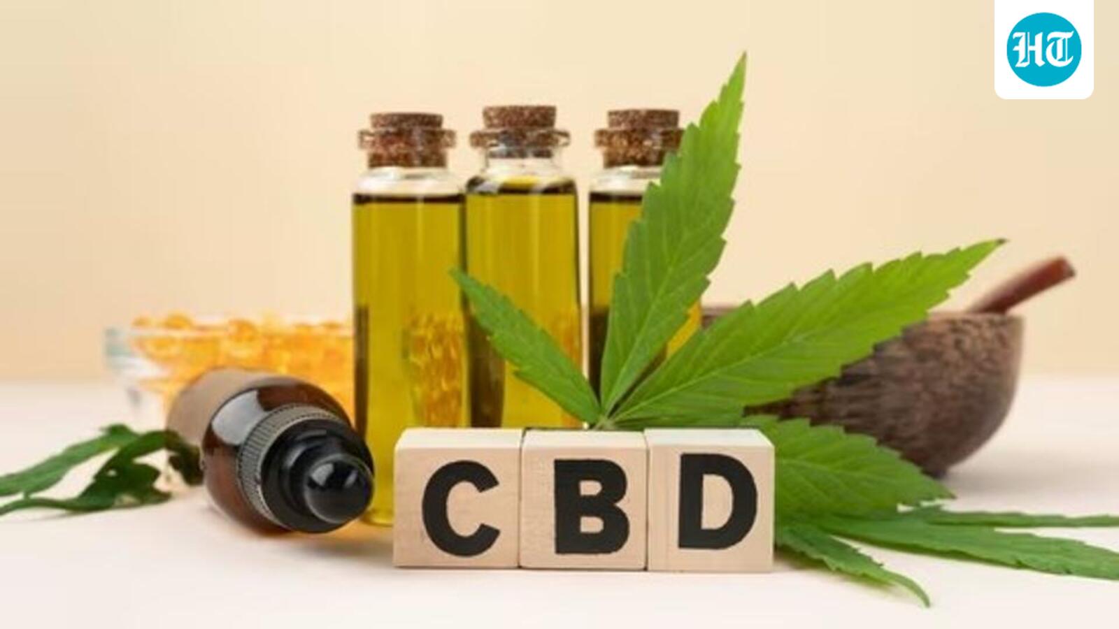NCB dismantles Nepal-India-Sri Lanka narcotics network; 77 kg hashish oil seized, 5 held
