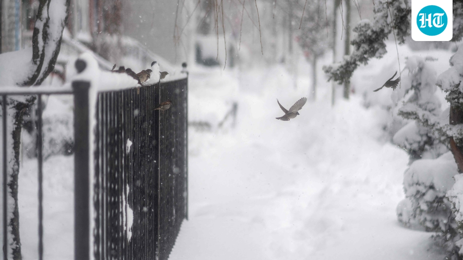 How much snow did Rhode Island and New York get on Monday amid severe blizzards?