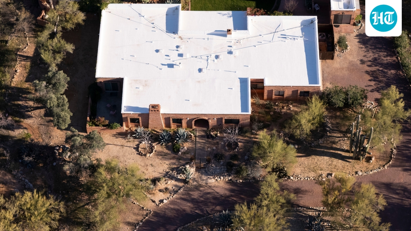 Nancy Guthrie update: Expert shares urgent tip for searchers on foot, ‘Look up, not down…’