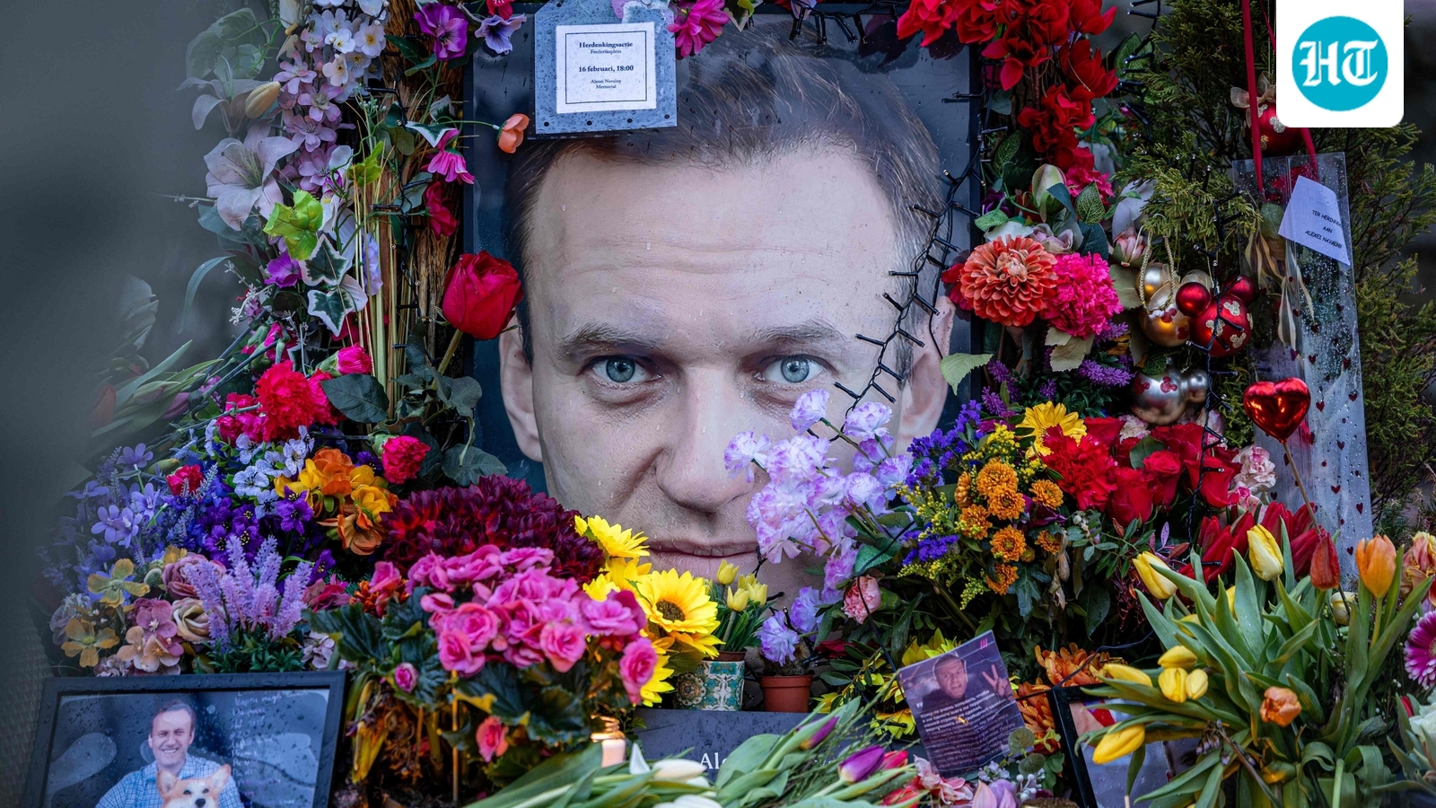 Toxin used to kill Alexei Navalny likely synthetic, not sourced from dart frogs, say experts