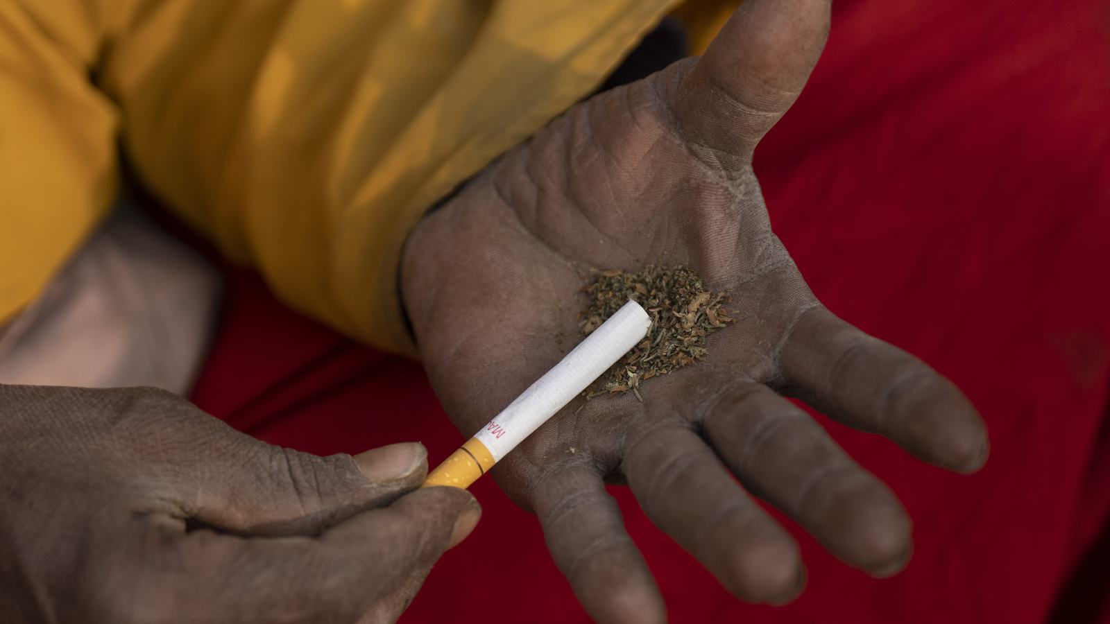 Kerala: 2 kg ‘ganja’ seized from Polytechnic hostel in Kochi