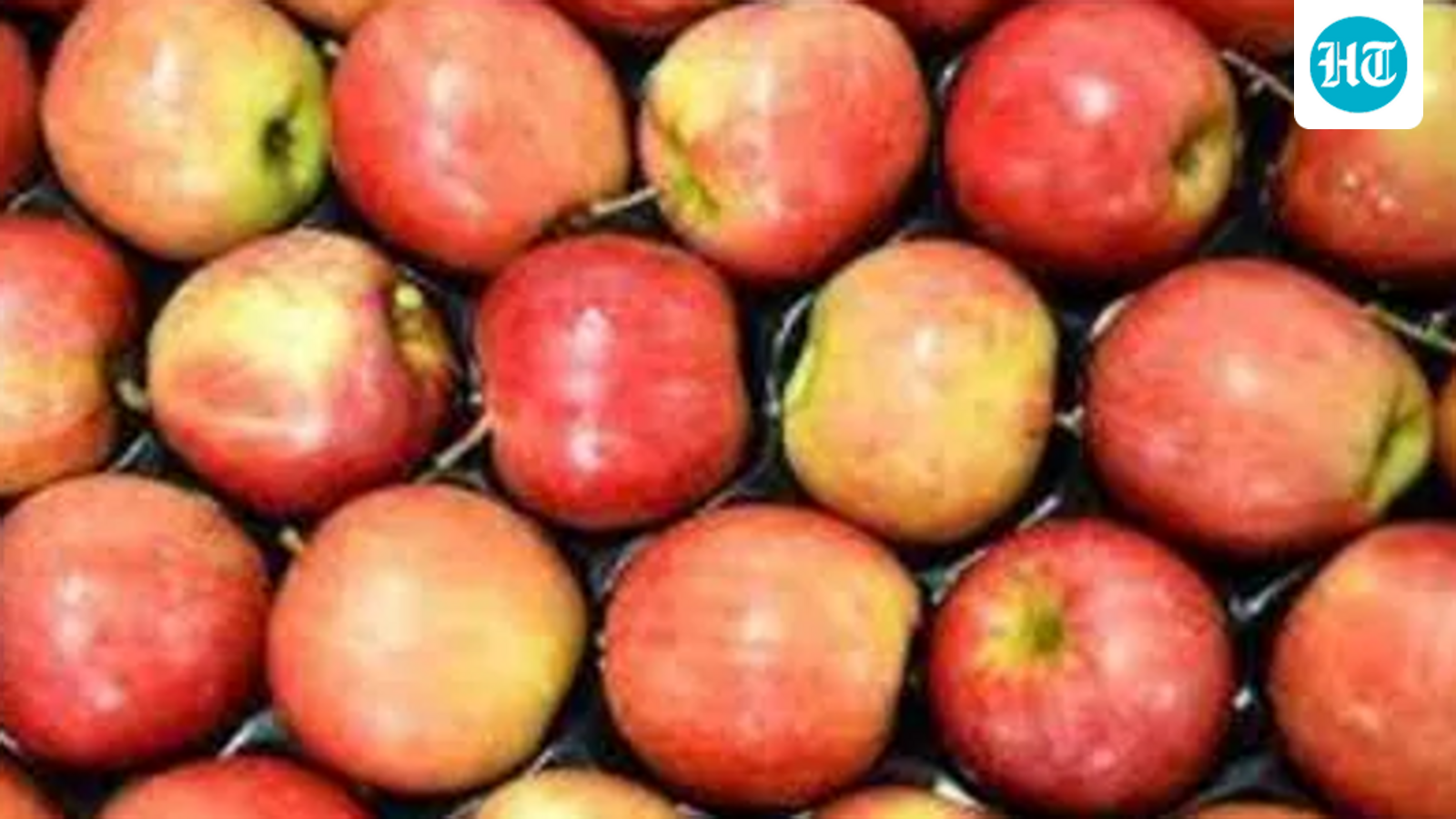 Ecostani: Indian apple growers brace for impact of trade agreements