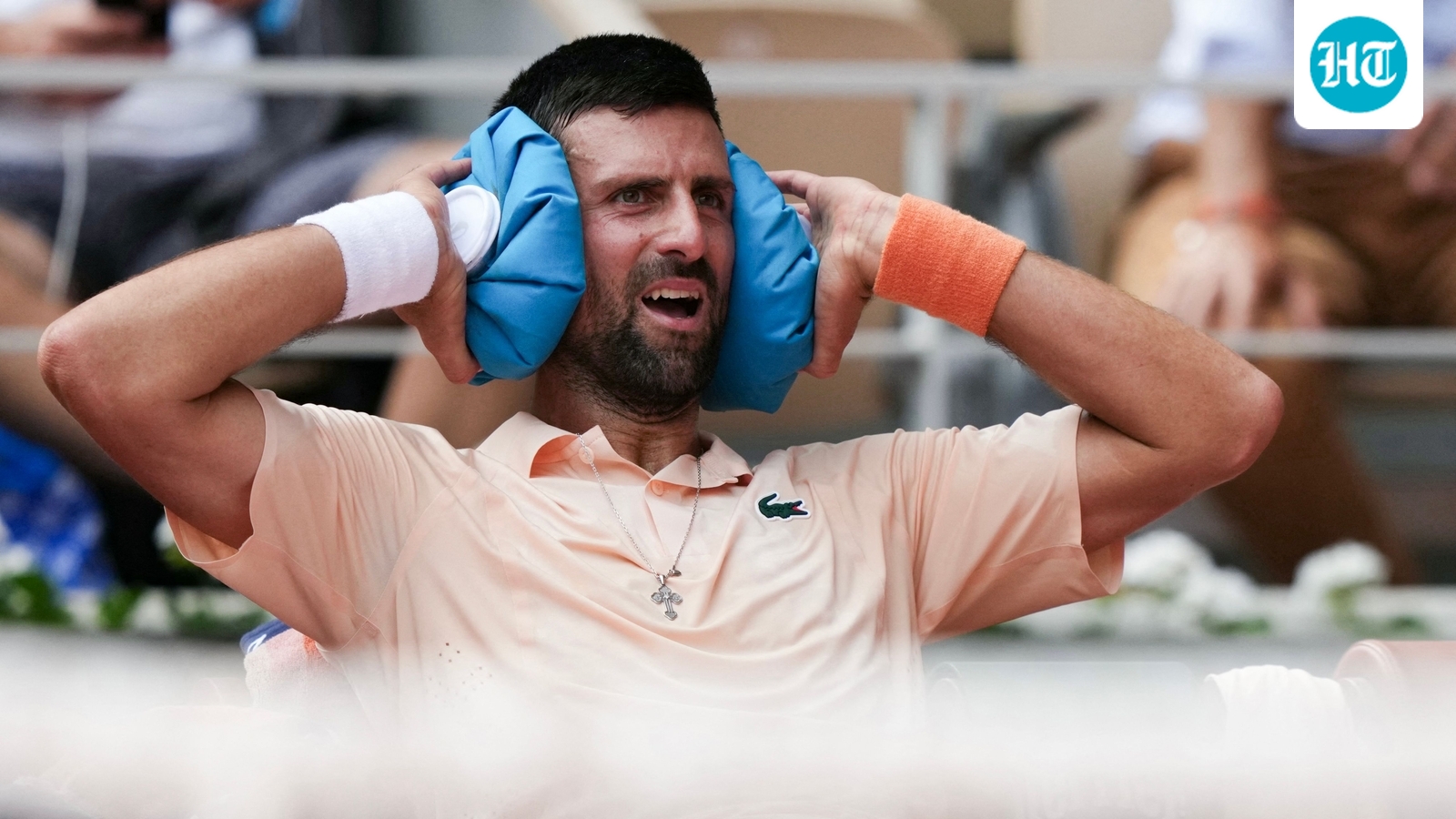 Djokovic's sarcastic remark irks French Open fans; Joao Fonseca gives perfect response - Watch