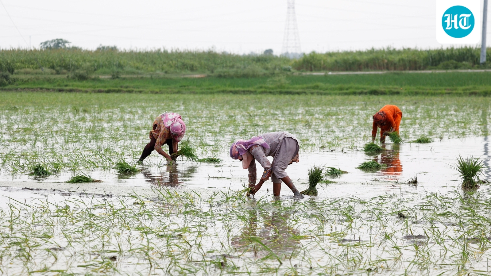 Telangana oppn slams Congress govt as 4 farmers die in shed collapse incidents