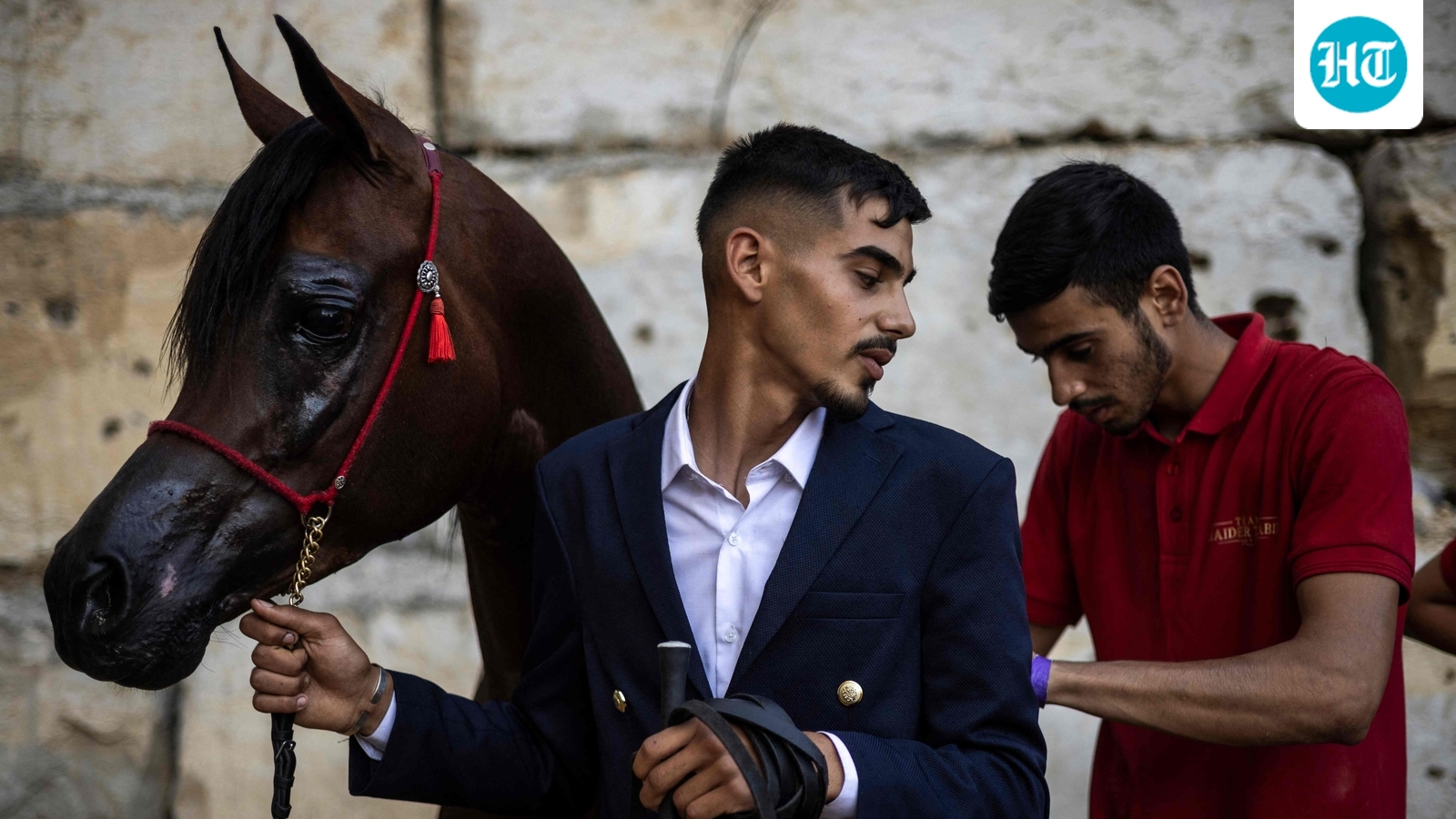 ‘It is in our blood’: Palestinians keep horse culture alive against all odds amid Israeli aggression, contested land