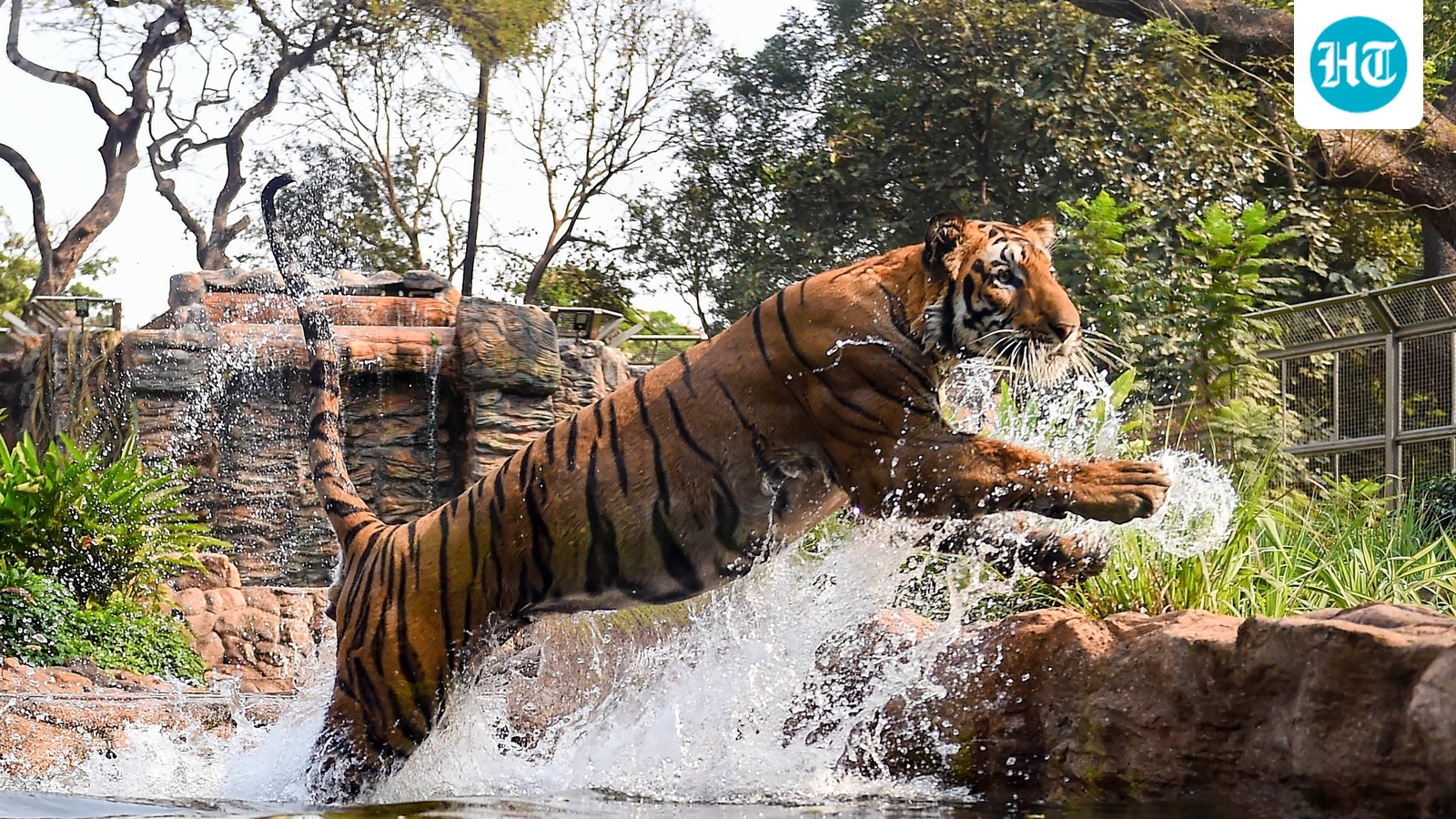 No red tape: Single window approval available for diverting tiger reserve land