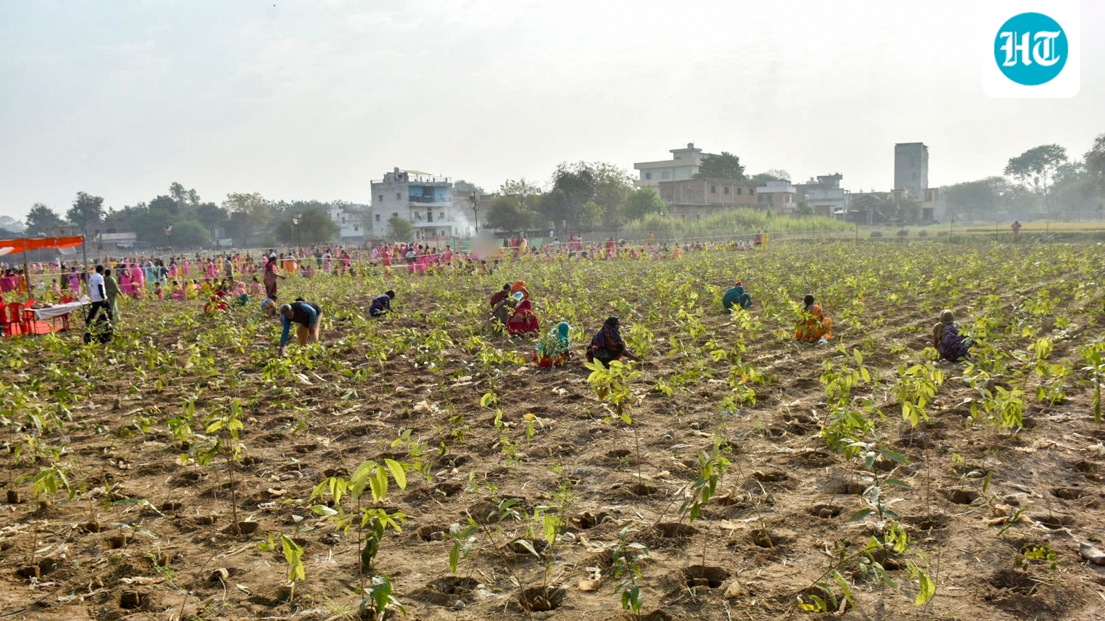 Varanasi municipal corporation plants 2.5 lakh saplings in one hour, claims record