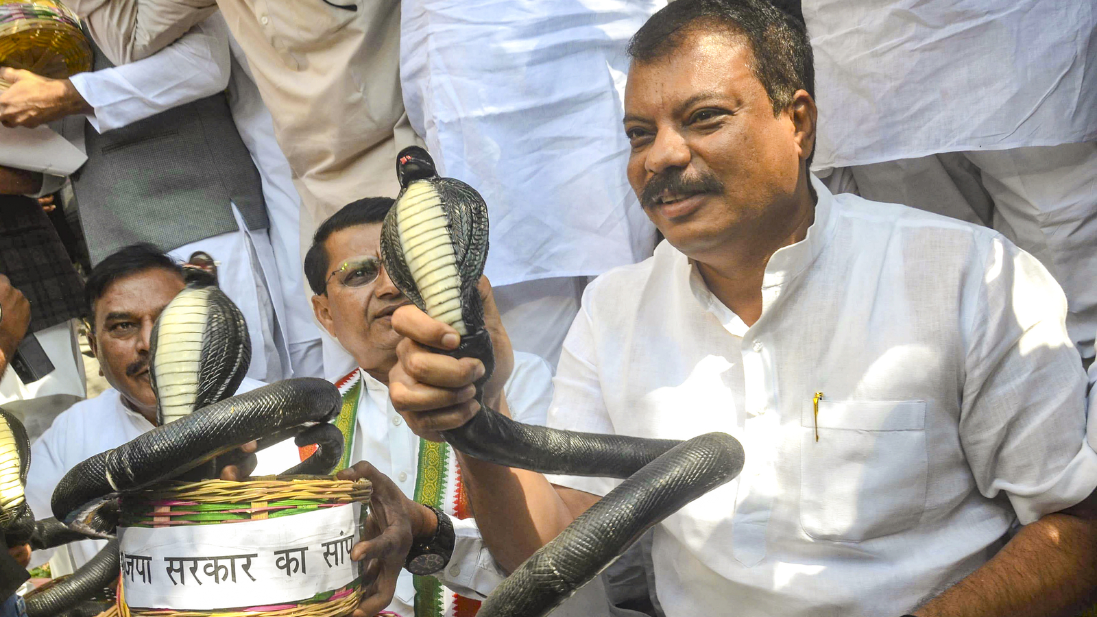 Madhya Pradesh Congress MLAs protest with plastic snakes: BJP sitting on govt jobs like serpents